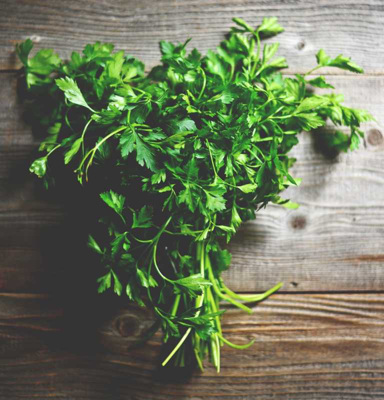 Parsley Cook for Your Life